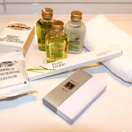 メトロポール ＆ スパ ツェルマット